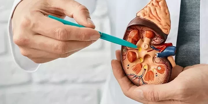 Kaum Pria Paling Sering Alami Penyakit Ini