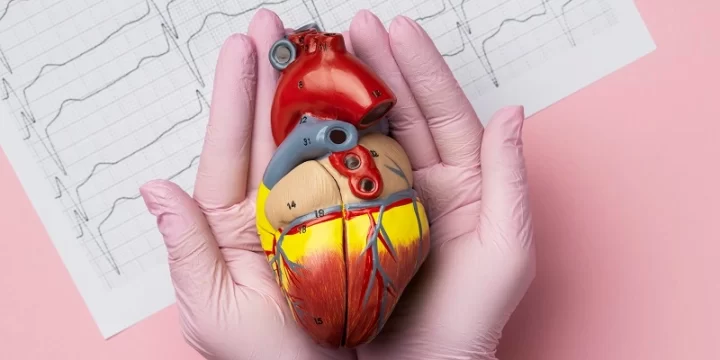 Ketahui Cara Penanganan Diseksi Aorta