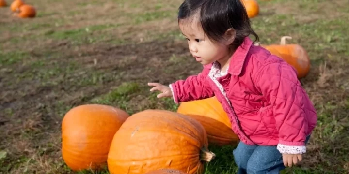 5 Ide Kegiatan Stimulasi Anak Usia 0-2 Tahun