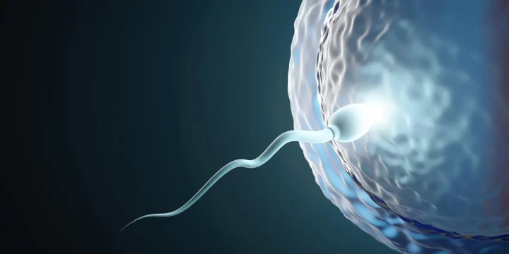 Mau Inseminasi? Ini yang Harus Dipersiapkan Kaum Pria