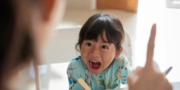 Penyebab Perilaku Agresif Pada Anak dan Tips Mengatasinya